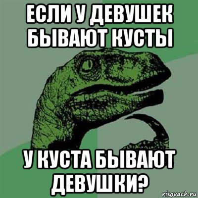 если у девушек бывают кусты у куста бывают девушки?, Мем Филосораптор