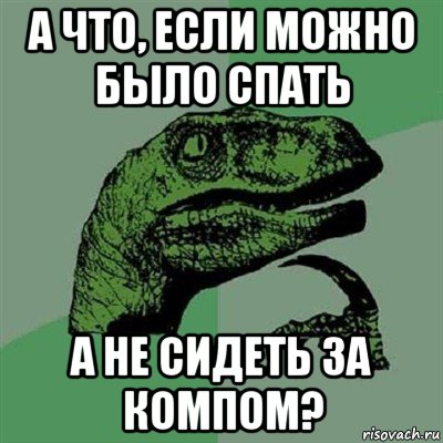 а что, если можно было спать а не сидеть за компом?, Мем Филосораптор