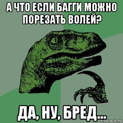 а что если багги можно порезать волей? да, ну, бред..., Мем Филосораптор