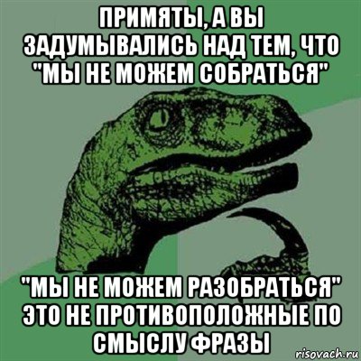 примяты, а вы задумывались над тем, что "мы не можем собраться" "мы не можем разобраться" это не противоположные по смыслу фразы, Мем Филосораптор