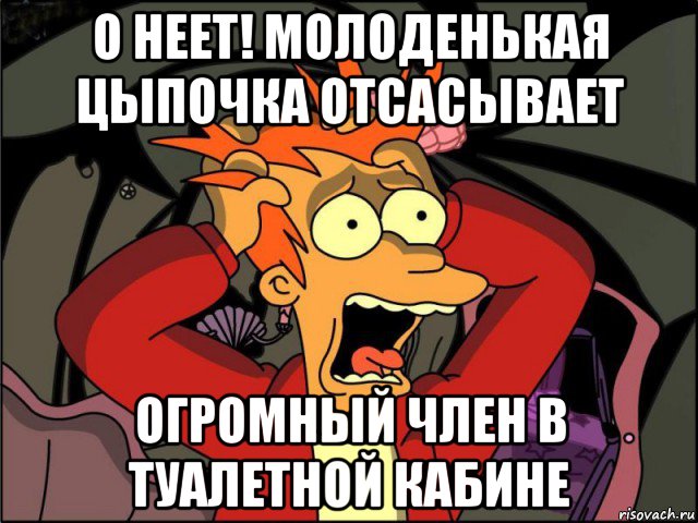 о неет! молоденькая цыпочка отсасывает огромный член в туалетной кабине, Мем Фрай в панике