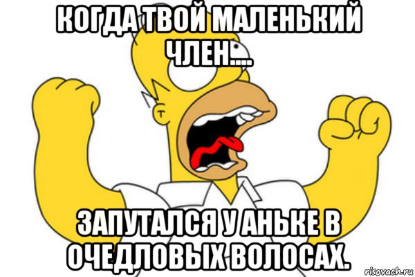 когда твой маленький член.... запутался у аньке в очедловых волосах., Мем Разъяренный Гомер