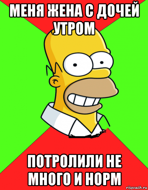 меня жена с дочей утром потролили не много и норм, Мем  Гомер