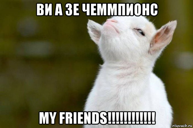 ви а зе чеммпионс my friends!!!!!!!!!!!!, Мем  Гордый козленок