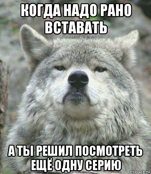 когда надо рано вставать а ты решил посмотреть ещё одну серию, Мем    Гордый волк