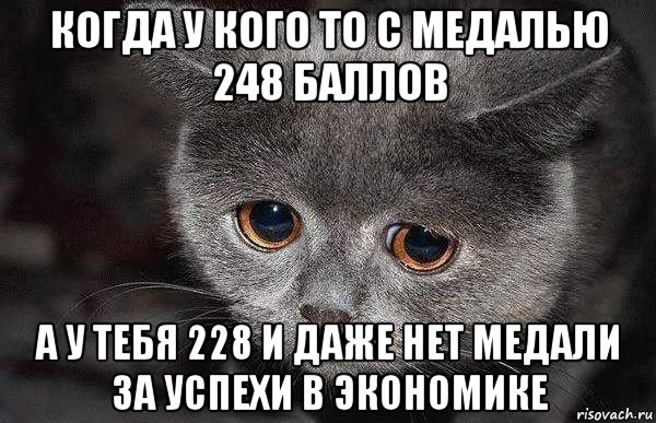 когда у кого то с медалью 248 баллов а у тебя 228 и даже нет медали за успехи в экономике, Мем  Грустный кот