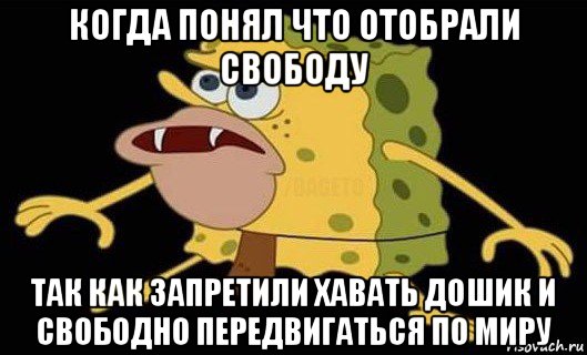 когда понял что отобрали свободу так как запретили хавать дошик и свободно передвигаться по миру, Мем Губка Боб дикарь