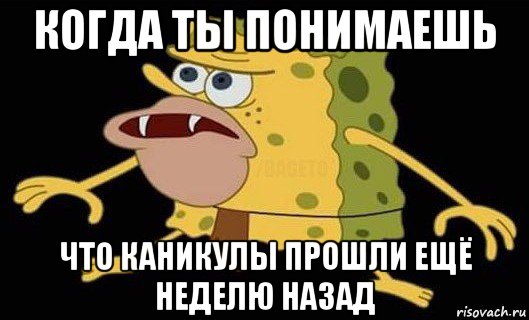 когда ты понимаешь что каникулы прошли ещё неделю назад, Мем Губка Боб дикарь