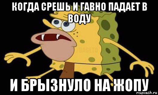 когда срешь и гавно падает в воду и брызнуло на жопу