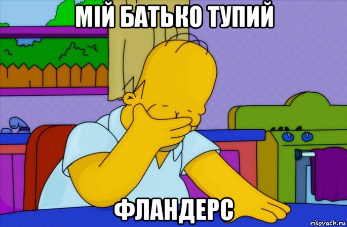 мій батько тупий фландерс, Мем Homer simpson facepalm