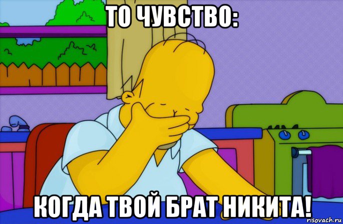 то чувство: когда твой брат никита!, Мем Homer simpson facepalm