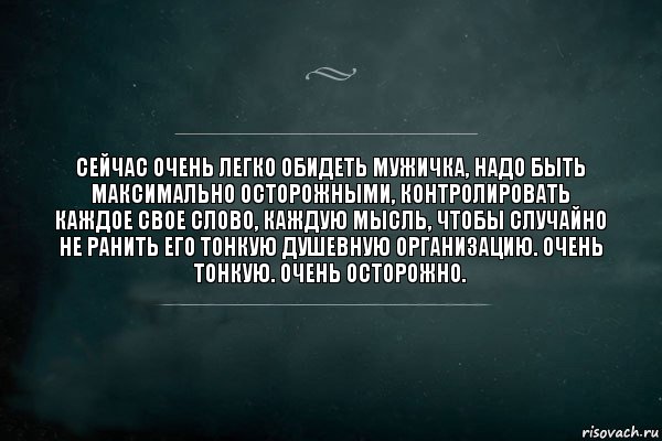 Сейчас очень легко обидеть мужичка, надо быть максимально осторожными, контролировать каждое свое слово, каждую мысль, чтобы случайно не ранить его тонкую душевную организацию. Очень тонкую. Очень осторожно., Комикс Игра Слов