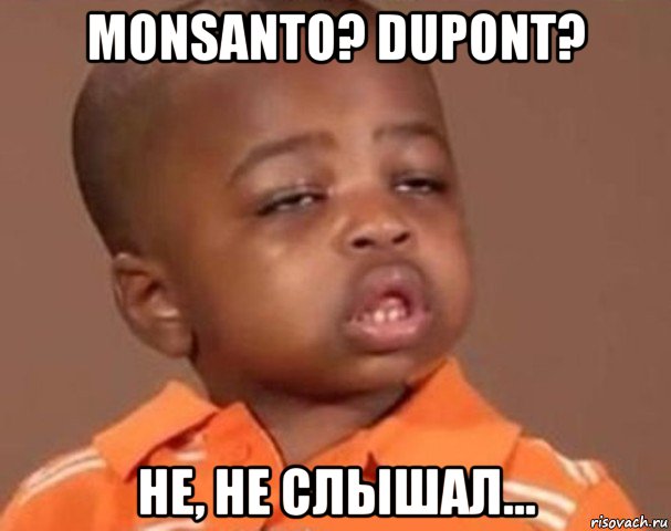 monsanto? dupont? не, не слышал..., Мем  Какой пацан (негритенок)