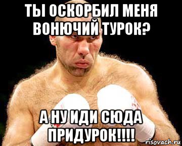 ты оскорбил меня вонючий турок? а ну иди сюда придурок!!!!, Мем каменная голова