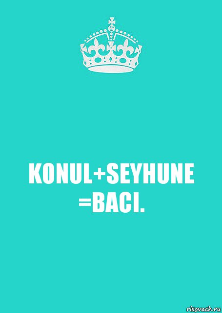 KONUL+SEYHUNE =BACI., Комикс  Keep Calm 2