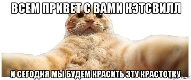 всем привет с вами кэтсвилл и сегодня мы будем красить эту крастотку, Мем   Кэтсвилл