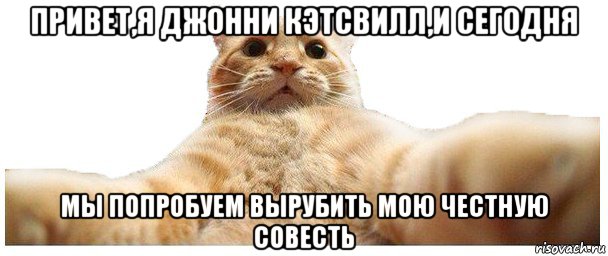 привет,я джонни кэтсвилл,и сегодня мы попробуем вырубить мою честную совесть, Мем   Кэтсвилл