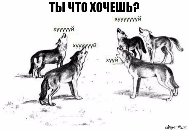 ты что хочешь?