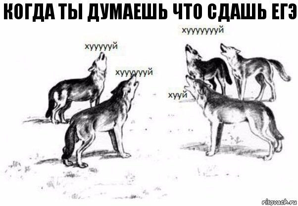 Когда ты думаешь что сдашь егэ