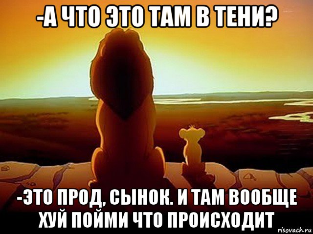 -а что это там в тени? -это прод, сынок. и там вообще хуй пойми что происходит, Мем  король лев