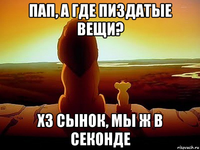 пап, а где пиздатые вещи? хз сынок, мы ж в секонде, Мем  король лев