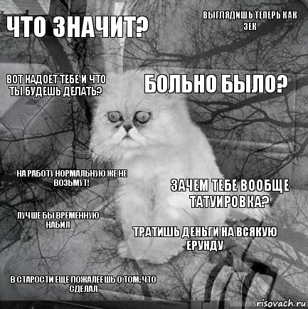 ЧТО ЗНАЧИТ? ЗАЧЕМ ТЕБЕ ВООБЩЕ ТАТУИРОВКА? БОЛЬНО БЫЛО? В СТАРОСТИ ЕЩЕ ПОЖАЛЕЕШЬ О ТОМ, ЧТО СДЕЛАЛ НА РАБОТУ НОРМАЛЬНУЮ ЖЕ НЕ ВОЗЬМУТ! ВЫГЛЯДИШЬ ТЕПЕРЬ КАК ЗЕК ТРАТИШЬ ДЕНЬГИ НА ВСЯКУЮ ЕРУНДУ ВОТ НАДОЕТ ТЕБЕ И ЧТО ТЫ БУДЕШЬ ДЕЛАТЬ? ЛУЧШЕ БЫ ВРЕМЕННУЮ НАБИЛ , Комикс  кот безысходность