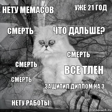 НЕТУ МЕМАСОВ ВСЕ ТЛЕН ЧТО ДАЛЬШЕ? НЕТУ РАБОТЫ СМЕРТЬ УЖЕ 21 ГОД ЗАЩИТИЛ ДИПЛОМ НА 3 СМЕРТЬ СМЕРТЬ СМЕРТЬ, Комикс  кот безысходность