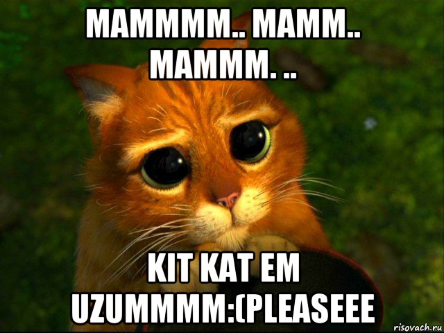 mammmm.. mamm.. mammm. .. kit kat em uzummmm:(pleaseee, Мем кот из шрека