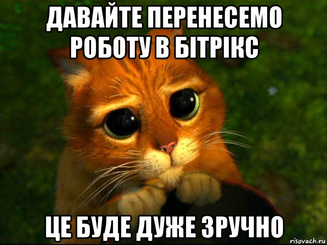 давайте перенесемо роботу в бітрікс це буде дуже зручно, Мем кот из шрека