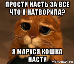 прости насть за все что я натворила? я маруся кошка насти