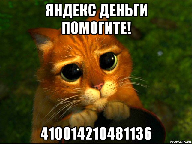 яндекс деньги помогите! 410014210481136, Мем кот из шрека