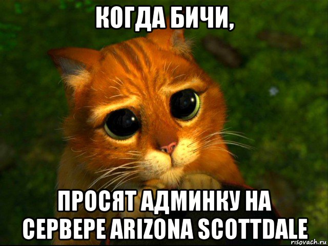 когда бичи, просят админку на сервере arizona scottdale, Мем кот из шрека