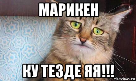 марикен ку тезде яя!!!, Мем  кот печаль