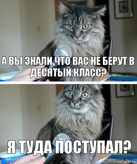 А вы знали что вас не берут в десятый класс? Я туда поступал?, Комикс  кот с микрофоном