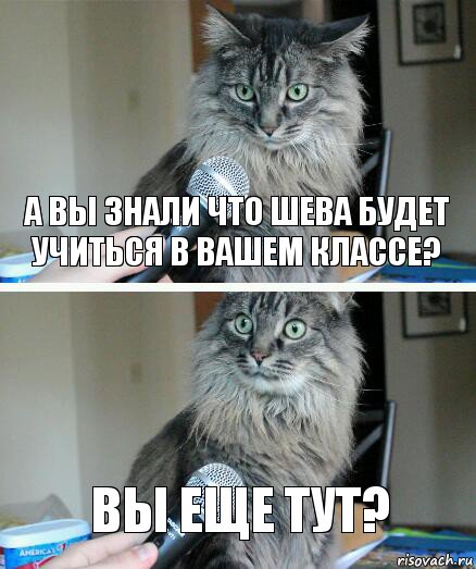 а вы знали что шева будет учиться в вашем классе? вы еще тут?, Комикс  кот с микрофоном