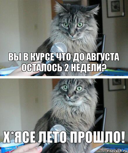 Вы в курсе что до августа осталось 2 недели? Х*ясе лето прошло!, Комикс  кот с микрофоном