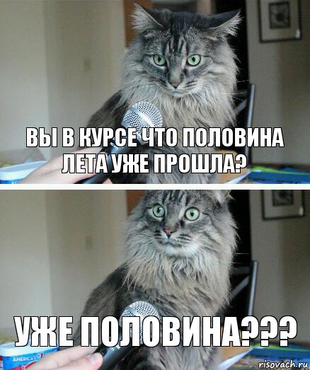 Вы в курсе что половина лета уже прошла? Уже половина???, Комикс  кот с микрофоном