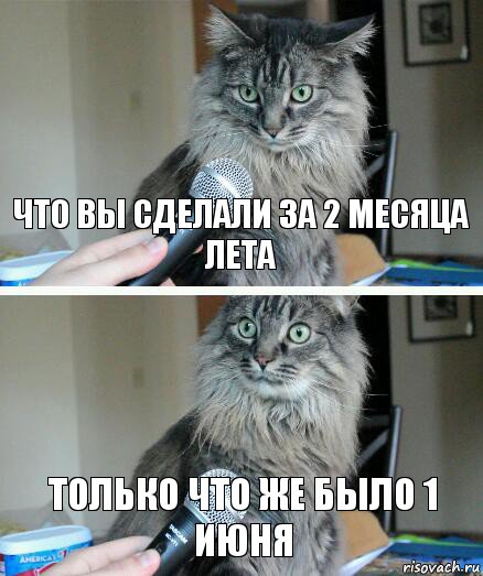 что вы сделали за 2 месяца лета Только что же было 1 июня, Комикс  кот с микрофоном