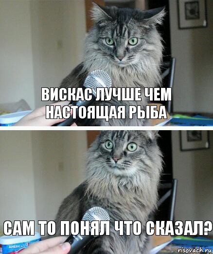 Вискас лучше чем настоящая рыба Сам то понял что сказал?, Комикс  кот с микрофоном