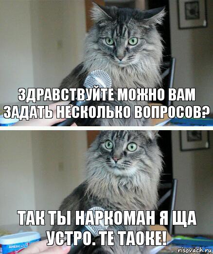 Здравствуйте можно вам задать несколько вопросов? Так ты наркоман я ща устро. те таоке!, Комикс  кот с микрофоном