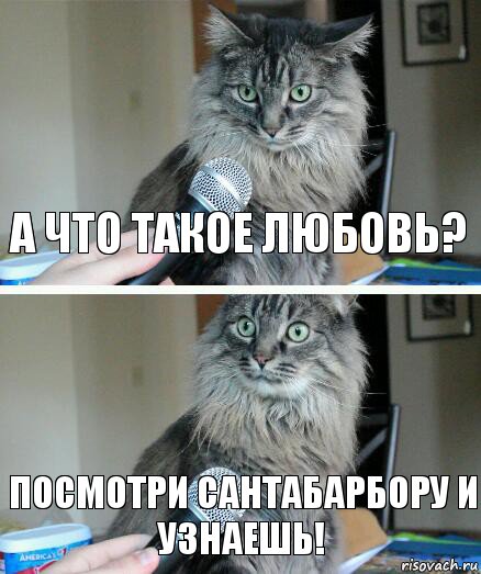 А что такое Любовь? посмотри Сантабарбору и узнаешь!, Комикс  кот с микрофоном