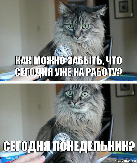 как можно забыть, что сегодня уже на работу? сегодня понедельник?, Комикс  кот с микрофоном