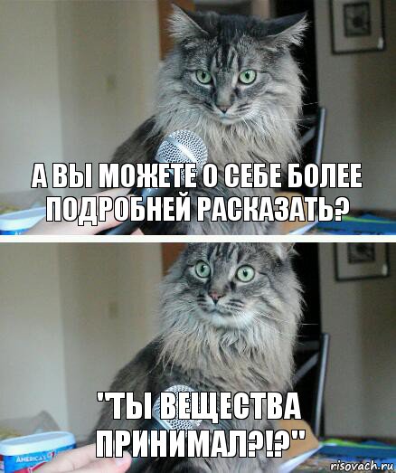 А вы можете о себе более подробней расказать? "ты вещества принимал?!?", Комикс  кот с микрофоном