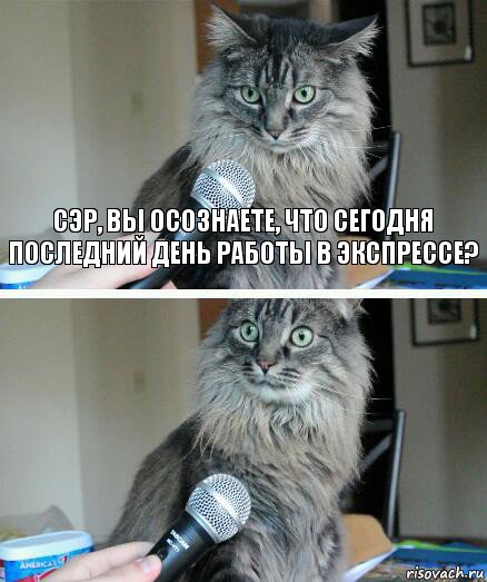 Сэр, вы осознаете, что сегодня последний день работы в экспрессе? , Комикс  кот с микрофоном