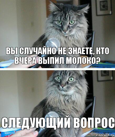 Вы случайно не знаете, кто вчера выпил молоко? Следующий вопрос, Комикс  кот с микрофоном