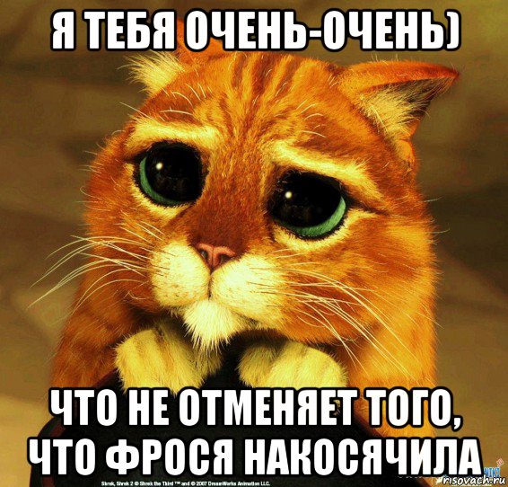 я тебя очень-очень) что не отменяет того, что фрося накосячила, Мем Котик из Шрека