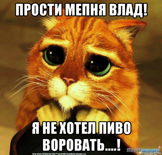 прости мепня влад! я не хотел пиво воровать....!, Мем Котик из Шрека