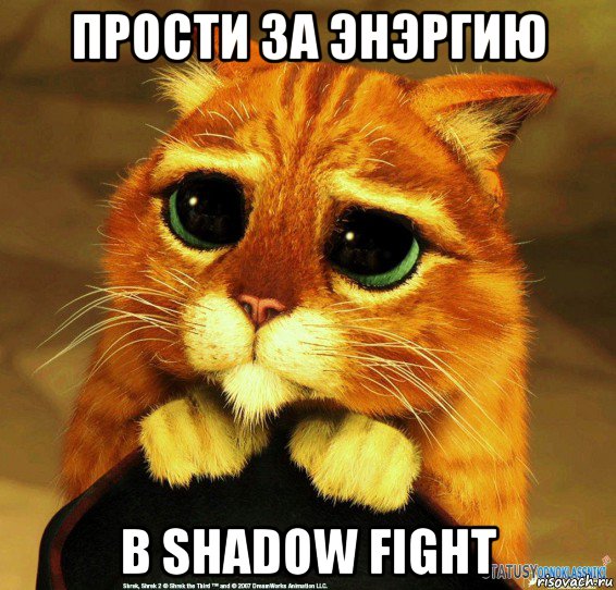 прости за энэргию в shadow fight, Мем Котик из Шрека