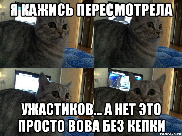 я кажись пересмотрела ужастиков... а нет это просто вова без кепки, Мем  Кот в шоке