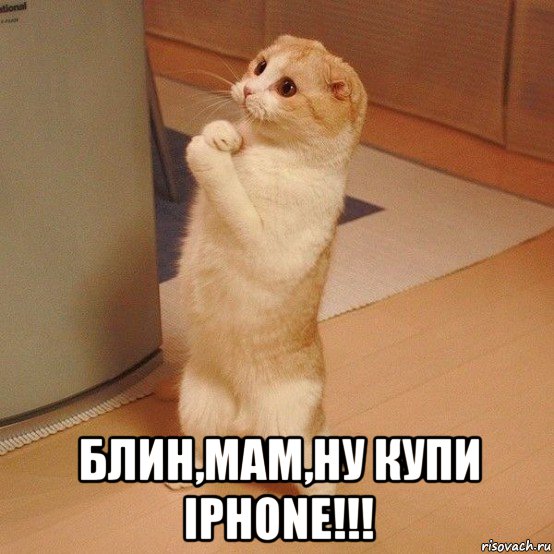  блин,мам,ну купи iphone!!!, Мем  котэ молится